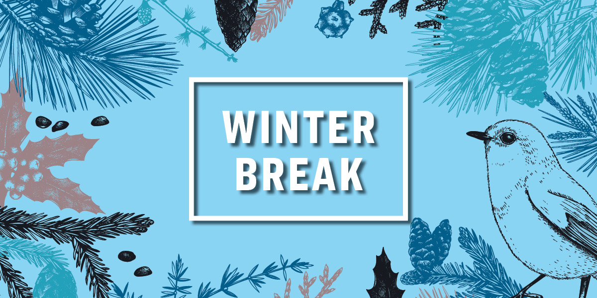 Winter Break - image